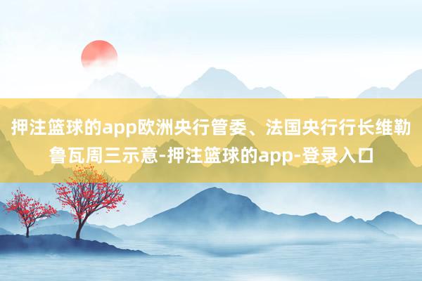 押注篮球的app欧洲央行管委、法国央行行长维勒鲁瓦周三示意-押注篮球的app-登录入口