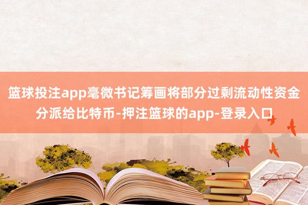 篮球投注app毫微书记筹画将部分过剩流动性资金分派给比特币-押注篮球的app-登录入口